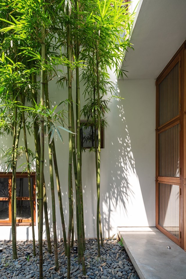 thiet-ke-kien-truc-noi-that-can-ho-ngap-nang-gio-sau-tuong-bao-cao-9-met